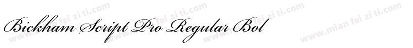 Bickham Script Pro Regular Bold字体转换